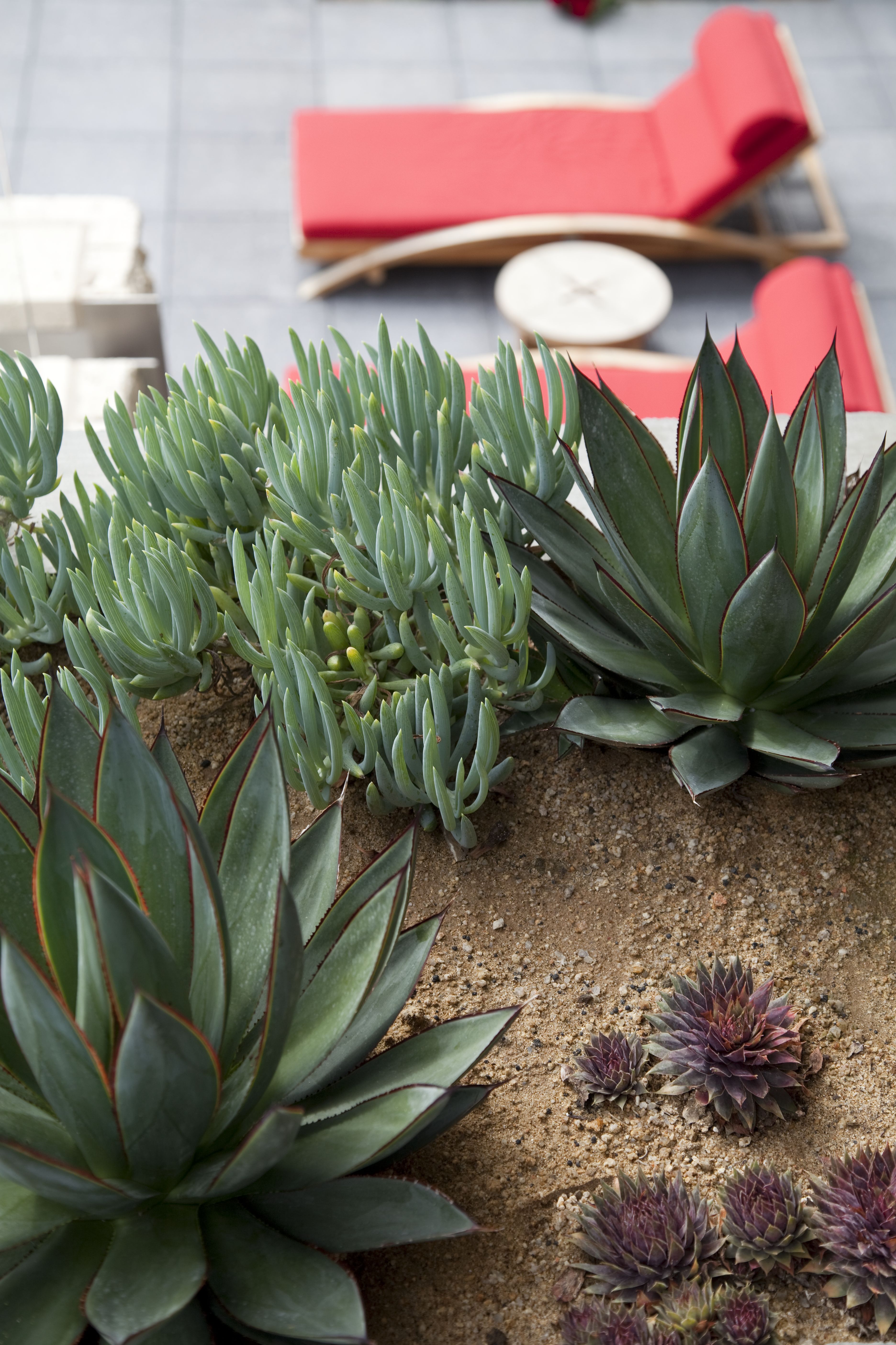 Luxury modern kitchen cabinets Newport Beach California