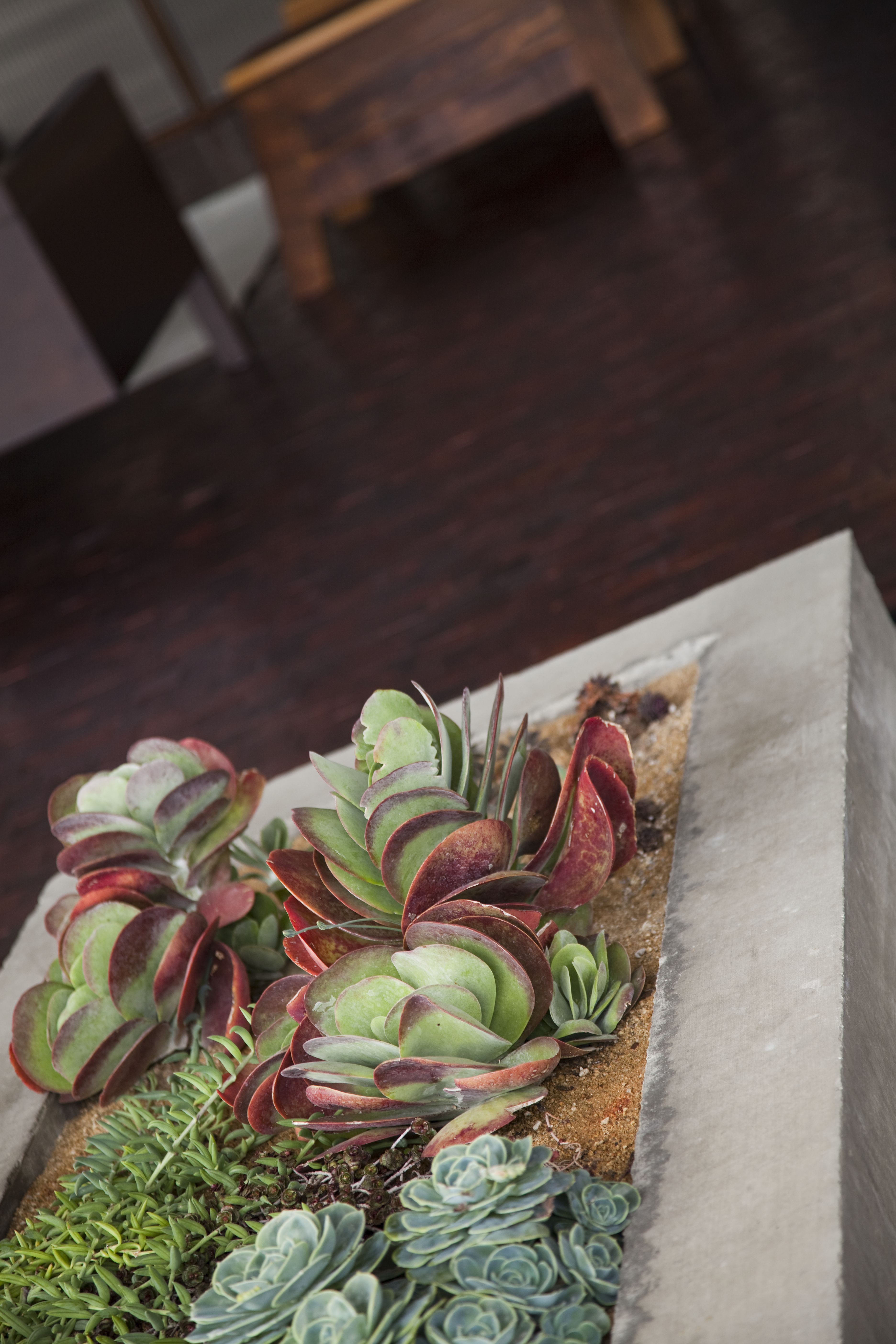 Custom cabinetry inspiration Orange County luxury interiors